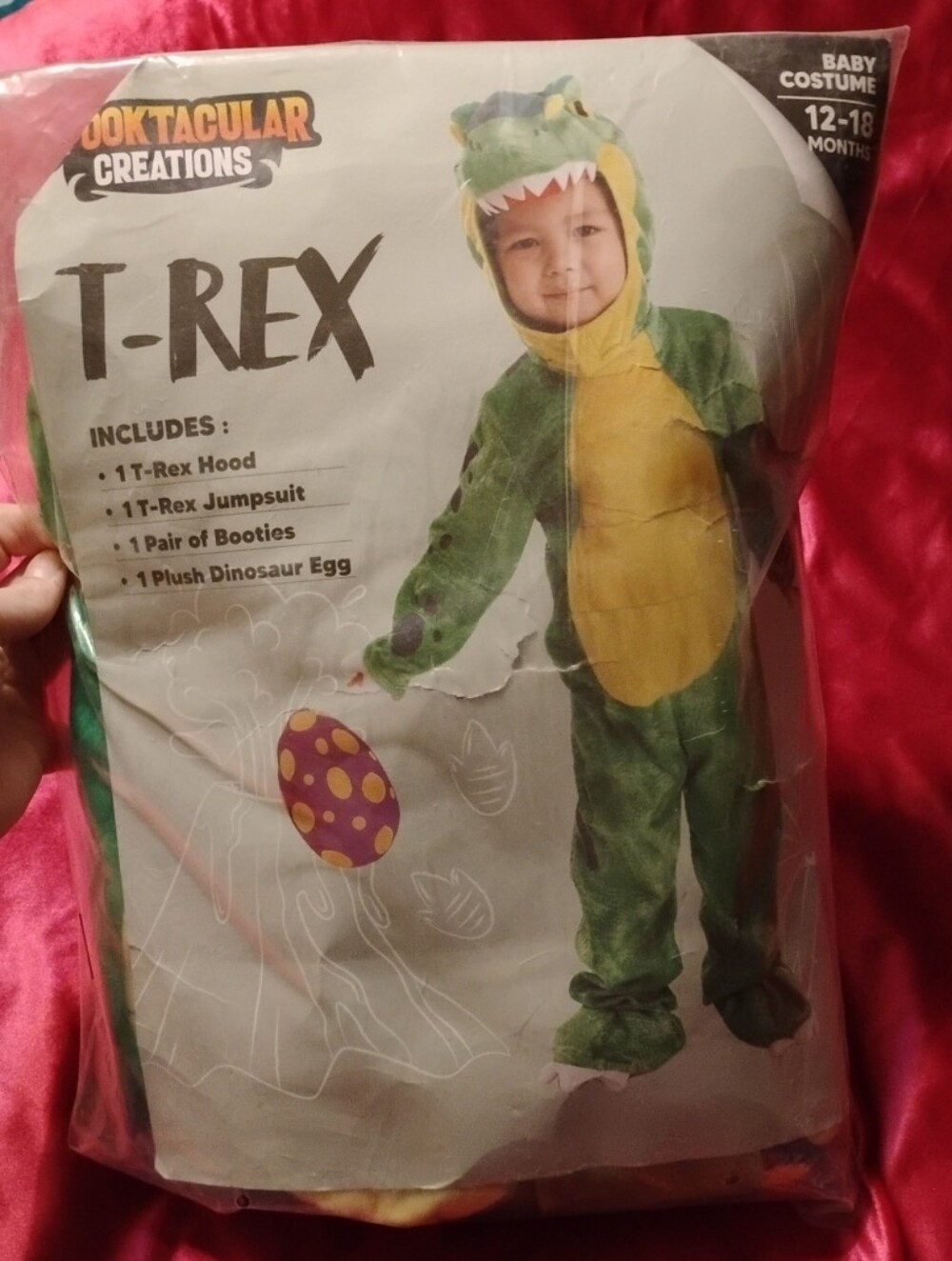 T-Rex Costume Jumpsuit And Accessories (12-18 Months)